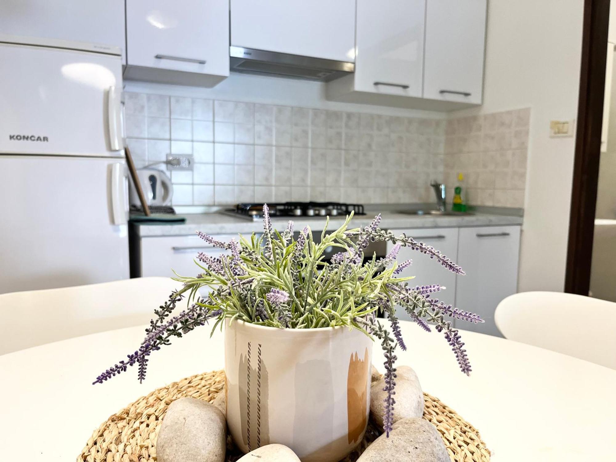Biba Apartments 普拉 外观 照片